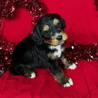 processed/f274308e-dd26-4cc5-b154-9ca6d72c2aff/facility/d08ba38d-6221-468b-adaf-e6b94f6cd518