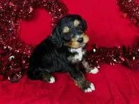 processed/f274308e-dd26-4cc5-b154-9ca6d72c2aff/facility/d08ba38d-6221-468b-adaf-e6b94f6cd518