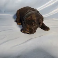 processed/f274308e-dd26-4cc5-b154-9ca6d72c2aff/listing/013d3138-1f53-4a10-9dcc-046d8c65d692/13fe6c47-1ff4-40ef-a5e1-1fba49e88338