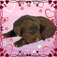 processed/f274308e-dd26-4cc5-b154-9ca6d72c2aff/listing/013d3138-1f53-4a10-9dcc-046d8c65d692/2c72b62d-3248-423f-96b1-e67f91591146