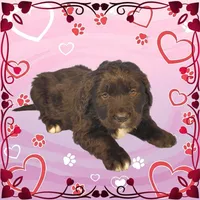 processed/f274308e-dd26-4cc5-b154-9ca6d72c2aff/listing/013d3138-1f53-4a10-9dcc-046d8c65d692/4592cf89-c6b6-4256-ab8a-32322c502c8f