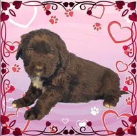 processed/f274308e-dd26-4cc5-b154-9ca6d72c2aff/listing/013d3138-1f53-4a10-9dcc-046d8c65d692/7584cc57-f2d4-47bb-a544-2bb64cf44d04