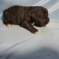 processed/f274308e-dd26-4cc5-b154-9ca6d72c2aff/listing/013d3138-1f53-4a10-9dcc-046d8c65d692/942f4b48-a2e2-4500-ace2-9152bbf6d073