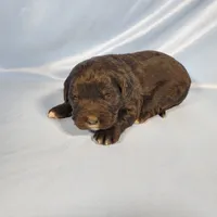 processed/f274308e-dd26-4cc5-b154-9ca6d72c2aff/listing/013d3138-1f53-4a10-9dcc-046d8c65d692/9de936b2-c7e3-4227-8cb9-7e5a8d7ddf0b