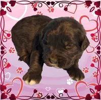 processed/f274308e-dd26-4cc5-b154-9ca6d72c2aff/listing/013d3138-1f53-4a10-9dcc-046d8c65d692/a9655591-53e9-419a-80dd-571706936779