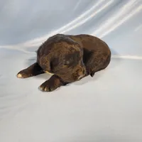 processed/f274308e-dd26-4cc5-b154-9ca6d72c2aff/listing/013d3138-1f53-4a10-9dcc-046d8c65d692/f88cac1f-ac8f-42ff-84ef-b13a3a220073