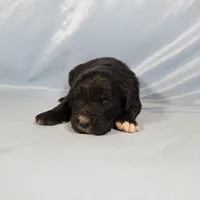 processed/f274308e-dd26-4cc5-b154-9ca6d72c2aff/listing/29f23e7d-902e-4f79-aff5-bc36053bd1d6/102b118a-e395-4171-90f1-7cc7dc01bd7d