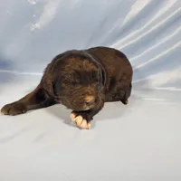 processed/f274308e-dd26-4cc5-b154-9ca6d72c2aff/listing/29f23e7d-902e-4f79-aff5-bc36053bd1d6/5581983e-6730-433f-8305-da8a3874277c