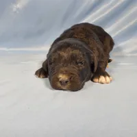 processed/f274308e-dd26-4cc5-b154-9ca6d72c2aff/listing/29f23e7d-902e-4f79-aff5-bc36053bd1d6/58365558-6e78-42af-a69e-94147c1eec5a