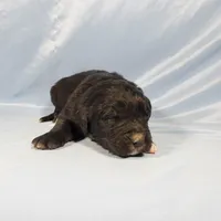 processed/f274308e-dd26-4cc5-b154-9ca6d72c2aff/listing/29f23e7d-902e-4f79-aff5-bc36053bd1d6/6077cc69-e663-4ffa-9702-69d49a02c081