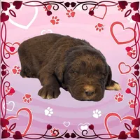 processed/f274308e-dd26-4cc5-b154-9ca6d72c2aff/listing/29f23e7d-902e-4f79-aff5-bc36053bd1d6/66ffa1c1-4eea-42e8-ae69-ccabd6ed8425