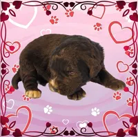 processed/f274308e-dd26-4cc5-b154-9ca6d72c2aff/listing/2a072137-44c5-4079-8f00-de3e1fc4a3be/32aeb811-bdf9-45b2-b998-c8fcc22ca210