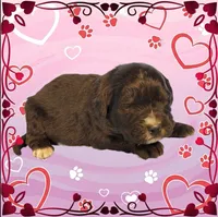 processed/f274308e-dd26-4cc5-b154-9ca6d72c2aff/listing/2a072137-44c5-4079-8f00-de3e1fc4a3be/789244d2-cd50-4313-a59b-aa322727ffae