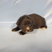 processed/f274308e-dd26-4cc5-b154-9ca6d72c2aff/listing/2a072137-44c5-4079-8f00-de3e1fc4a3be/9823ab22-a073-4daa-a00d-ee5d2bcee9cd