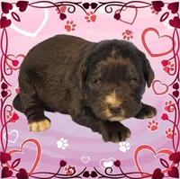 processed/f274308e-dd26-4cc5-b154-9ca6d72c2aff/listing/2a072137-44c5-4079-8f00-de3e1fc4a3be/a02f5454-ade3-45ea-bf50-1778f75042f3