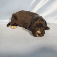 processed/f274308e-dd26-4cc5-b154-9ca6d72c2aff/listing/2a072137-44c5-4079-8f00-de3e1fc4a3be/d9b5d2f8-5a53-4e78-b236-7e18d89ae46b