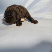 processed/f274308e-dd26-4cc5-b154-9ca6d72c2aff/listing/2a072137-44c5-4079-8f00-de3e1fc4a3be/e051d9e6-dd90-46ed-8896-ee3e24ecf61b