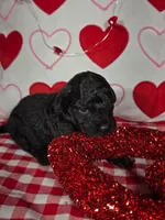 processed/f274308e-dd26-4cc5-b154-9ca6d72c2aff/listing/3d3a2837-4dd1-4b34-9c68-f9bdbc061578/22405ac7-ba03-4aed-96b5-8aae483cb5ac