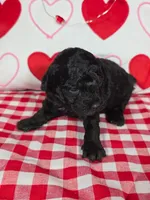 processed/f274308e-dd26-4cc5-b154-9ca6d72c2aff/listing/3d3a2837-4dd1-4b34-9c68-f9bdbc061578/74493068-a0c4-4816-8ea8-261d80fe4e38