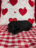 processed/f274308e-dd26-4cc5-b154-9ca6d72c2aff/listing/3d3a2837-4dd1-4b34-9c68-f9bdbc061578/d92370fe-aa73-4fbf-94a2-77b5d7cdcfda