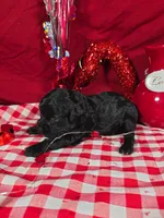 processed/f274308e-dd26-4cc5-b154-9ca6d72c2aff/listing/960ad1fc-7314-4573-a0dc-7a9686434bf8/5b8f33dc-4db0-46c0-b33d-1ba911c84f62