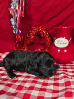 processed/f274308e-dd26-4cc5-b154-9ca6d72c2aff/listing/960ad1fc-7314-4573-a0dc-7a9686434bf8/5c02c344-ef3b-469e-85f7-19eada7be913