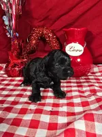 processed/f274308e-dd26-4cc5-b154-9ca6d72c2aff/listing/960ad1fc-7314-4573-a0dc-7a9686434bf8/9b376289-6a53-4956-969a-ff2f721b0434