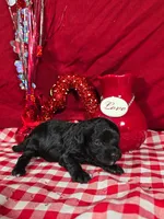 processed/f274308e-dd26-4cc5-b154-9ca6d72c2aff/listing/960ad1fc-7314-4573-a0dc-7a9686434bf8/ae1c6d23-a4ec-4df5-b783-8b7296ea3064