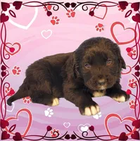 processed/f274308e-dd26-4cc5-b154-9ca6d72c2aff/listing/aab727b8-02e1-45d9-b9ba-f1ba75e91dfb/58bbe559-8713-4258-bd4b-0b3b2e98e32e