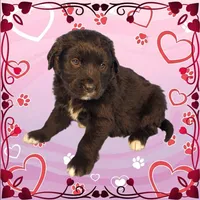 processed/f274308e-dd26-4cc5-b154-9ca6d72c2aff/listing/aab727b8-02e1-45d9-b9ba-f1ba75e91dfb/58d23ab0-2f5e-423e-8557-25a74419f35e