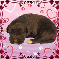 processed/f274308e-dd26-4cc5-b154-9ca6d72c2aff/listing/aab727b8-02e1-45d9-b9ba-f1ba75e91dfb/8accbc47-29fb-420c-9109-5e7d2f97cb1e