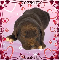 processed/f274308e-dd26-4cc5-b154-9ca6d72c2aff/listing/aab727b8-02e1-45d9-b9ba-f1ba75e91dfb/b404fe11-a9ad-4207-9ab9-b019d2228639