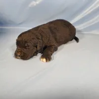 processed/f274308e-dd26-4cc5-b154-9ca6d72c2aff/listing/aab727b8-02e1-45d9-b9ba-f1ba75e91dfb/e9e69a5d-cbaa-428c-8d23-332a6bcc503f