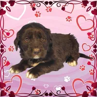 processed/f274308e-dd26-4cc5-b154-9ca6d72c2aff/listing/c5c05dae-076d-4393-af63-d1bbb2ea7a9f/0c49c70d-fc4c-4128-ab93-67ded8dfcc78