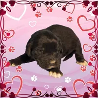 processed/f274308e-dd26-4cc5-b154-9ca6d72c2aff/listing/c5c05dae-076d-4393-af63-d1bbb2ea7a9f/41e37bbf-183f-4235-80cd-d8dbf5e30d0c