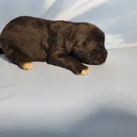 processed/f274308e-dd26-4cc5-b154-9ca6d72c2aff/listing/c5c05dae-076d-4393-af63-d1bbb2ea7a9f/6fce003a-5a06-4a87-b0f0-6a6e5d71be48