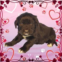 processed/f274308e-dd26-4cc5-b154-9ca6d72c2aff/listing/c5c05dae-076d-4393-af63-d1bbb2ea7a9f/84e010af-ede4-4395-b524-ea5a118e8d23