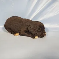 processed/f274308e-dd26-4cc5-b154-9ca6d72c2aff/listing/c5c05dae-076d-4393-af63-d1bbb2ea7a9f/9b805236-beb7-42cb-b106-2984bfa5e424