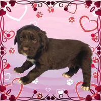 processed/f274308e-dd26-4cc5-b154-9ca6d72c2aff/listing/c5c05dae-076d-4393-af63-d1bbb2ea7a9f/aba2481a-9003-4ea5-9552-b42d9fc98906