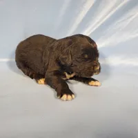 processed/f274308e-dd26-4cc5-b154-9ca6d72c2aff/listing/c5c05dae-076d-4393-af63-d1bbb2ea7a9f/adec5e64-9793-4ba1-b140-7b59b4d032e4