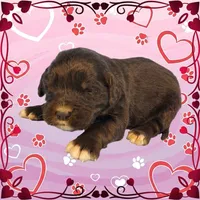 processed/f274308e-dd26-4cc5-b154-9ca6d72c2aff/listing/c5c05dae-076d-4393-af63-d1bbb2ea7a9f/e3e330be-9aed-4d2b-98e5-23f7e4f84f55