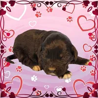 processed/f274308e-dd26-4cc5-b154-9ca6d72c2aff/listing/c5c05dae-076d-4393-af63-d1bbb2ea7a9f/ee460d9a-906f-4a3f-afed-b0506a140d14