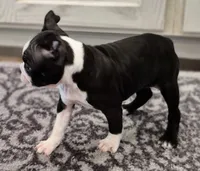 processed/f28019d1-351d-44f4-920d-d66df7e1acad/listing/7af01e20-59fb-4284-9d1e-d61d2494cf14/7dca1c25-99da-4a3a-91f5-78f9bd88d262