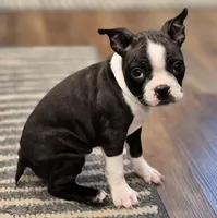 processed/f28019d1-351d-44f4-920d-d66df7e1acad/listing/7af01e20-59fb-4284-9d1e-d61d2494cf14/8af670c4-2b8e-4f7e-acb8-975cf23db1c3