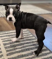 processed/f28019d1-351d-44f4-920d-d66df7e1acad/listing/7af01e20-59fb-4284-9d1e-d61d2494cf14/bd47de9e-ee56-468b-a9ac-e18afced919e