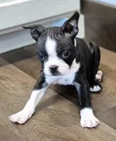 processed/f28019d1-351d-44f4-920d-d66df7e1acad/listing/7af01e20-59fb-4284-9d1e-d61d2494cf14/c32d617b-767d-452e-9a06-419e41a31a38