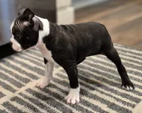 processed/f28019d1-351d-44f4-920d-d66df7e1acad/listing/7af01e20-59fb-4284-9d1e-d61d2494cf14/f572e1ea-5334-44be-89e5-7d3190443bd0