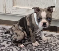 processed/f28019d1-351d-44f4-920d-d66df7e1acad/listing/8f5d1e08-57da-4c67-8dd3-31dbcaf43641/4cb512bb-d328-4869-aeaa-198faa3c8d64