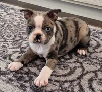 processed/f28019d1-351d-44f4-920d-d66df7e1acad/listing/8f5d1e08-57da-4c67-8dd3-31dbcaf43641/547c114a-708c-44f3-a6cb-12c11144c1de