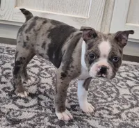 processed/f28019d1-351d-44f4-920d-d66df7e1acad/listing/8f5d1e08-57da-4c67-8dd3-31dbcaf43641/632cb863-25af-46bf-ba78-4be5647a54c1